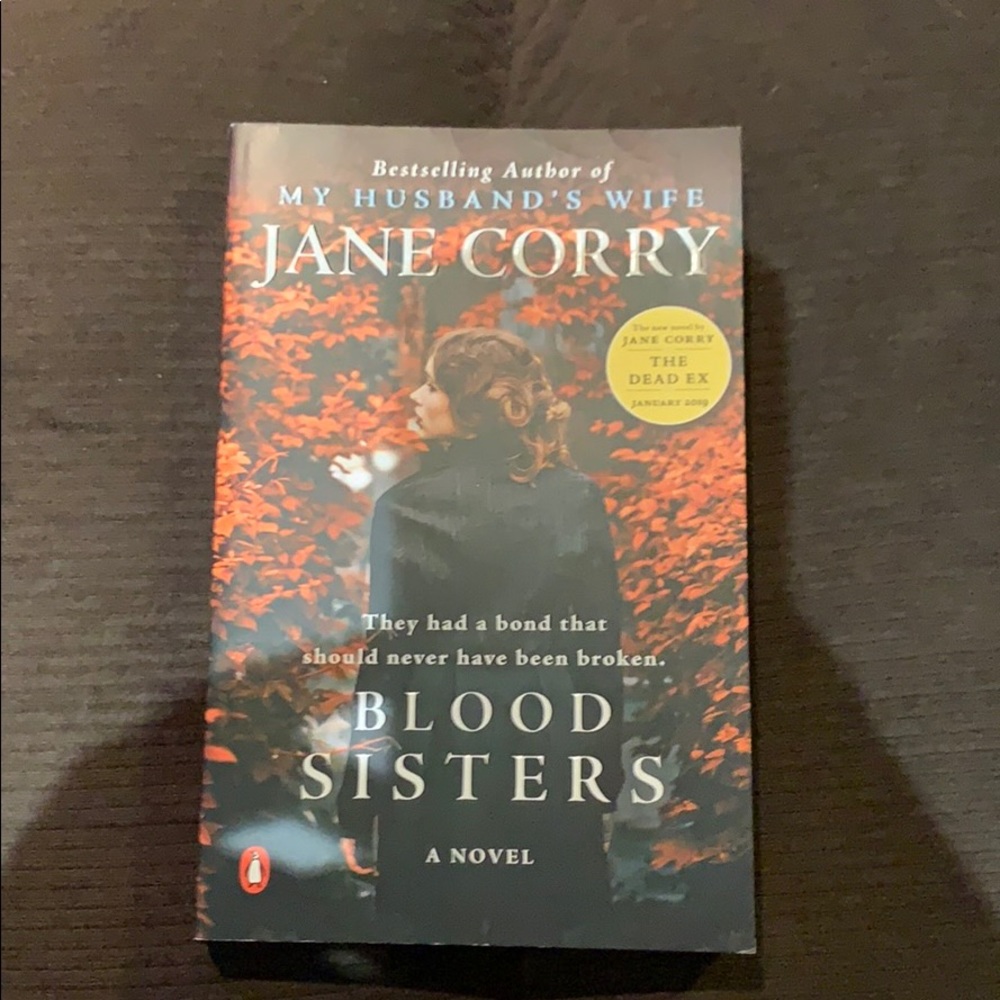 Novel book blood sisters by Jane Corry